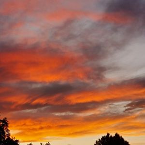 Meet your Posher, Todd